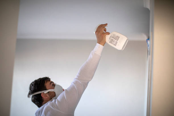 Home Mold Removal in Apache, OK