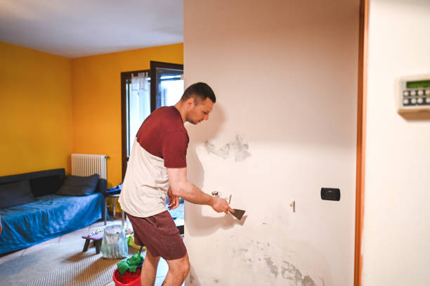 Best Residential Mold Removal  in Apache, OK